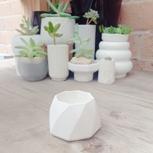 Plant pot